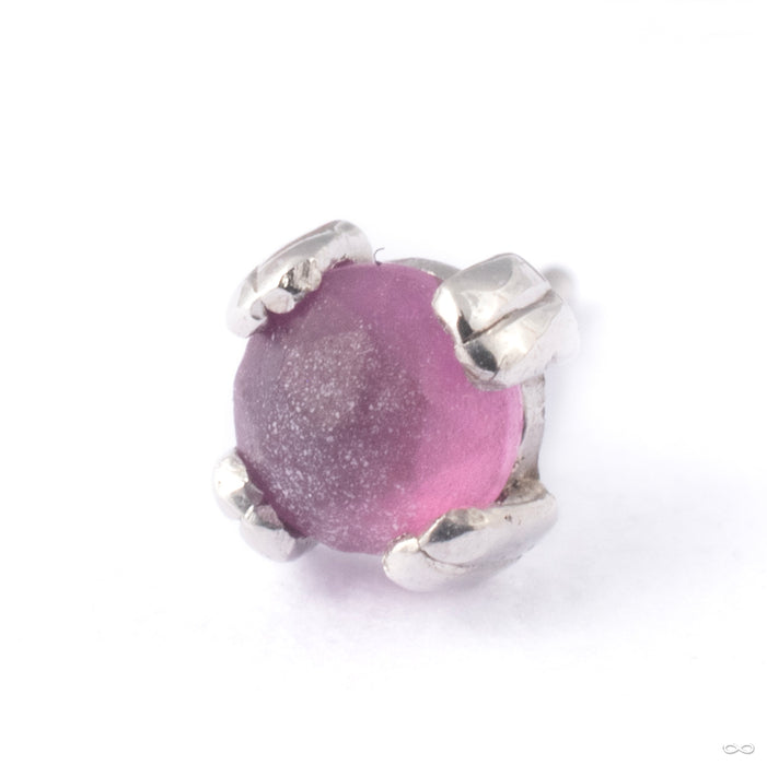 Cab Prong Press-fit End in Gold from BVLA in 14k White Gold with Sandblasted Rhodolite