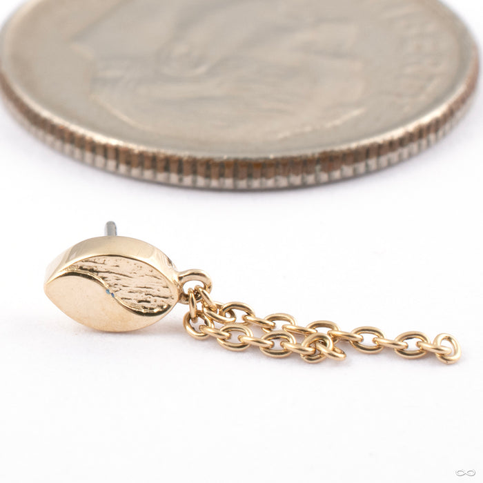 Chained Beta 02 Press-fit End in Gold from Tether Jewelry in 14k Yellow Gold