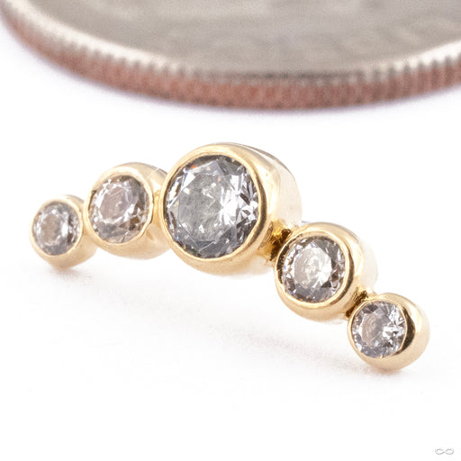 Curved Gem Cluster Press-fit End in Gold from Anatometal with clear CZ
