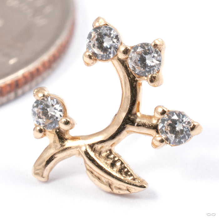 Frond Press-fit End in Gold from Tawapa with clear CZ