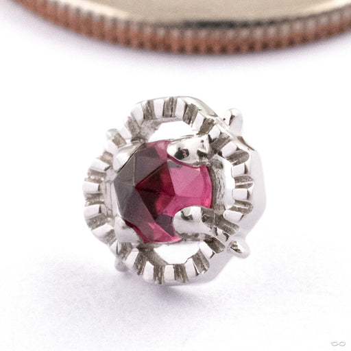 Gemmed Kappa 04 Press-fit End in 14k White Gold in Pink Tourmaline from Tether Jewelry
