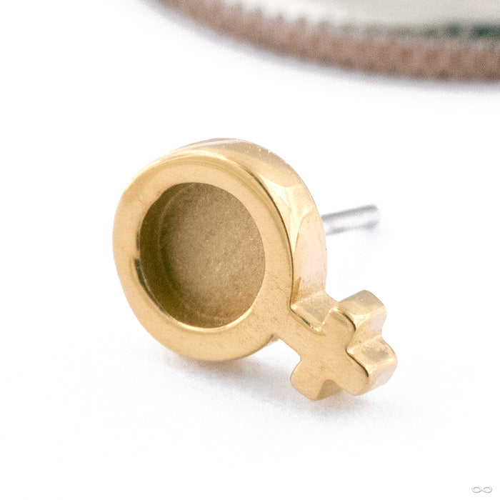Gender Symbol Press-fit End in Gold from Anatometal female