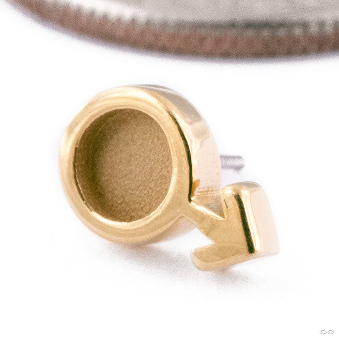 Gender Symbol Press-fit End in Gold from Anatometal male