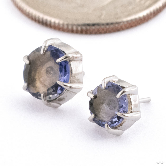 Illuminate Press-fit End in 14k White Gold with Iolite from Maya Jewelry in assorted sizes