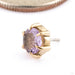 Illuminate Press-fit End in 14k Yellow Gold with Amethyst from Maya Jewelry