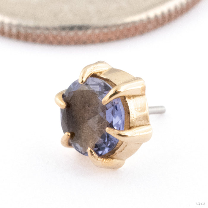 Illuminate Press-fit End in 14k Yellow Gold with Iolite from Maya Jewelry