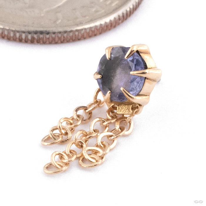 Illuminate with Chains Press-fit End in 14k Yellow Gold with Iolite from Maya Jewelry