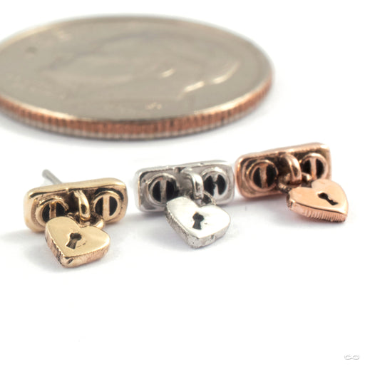 Little Pet Press-fit End in Gold from Maya Jewelry in various materials