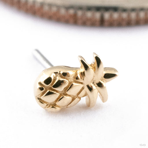Mini Pineapple Press-fit End in Gold from Junipurr Jewelry in yellow gold