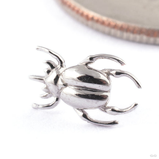 Rhino Beetle Press-fit End in Gold from Junipurr Jewelry in 14k White Gold