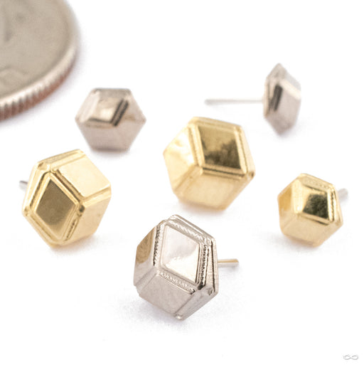 Tadbit Press-fit End in Gold from Regalia in assorted materials