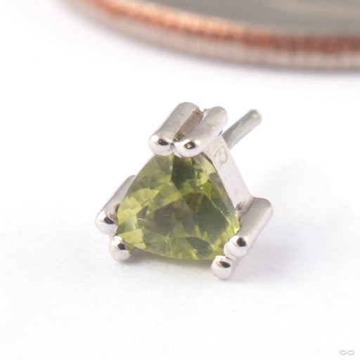 Tanti Press-fit End in Gold from BVLA in 14k White Gold with Peridot