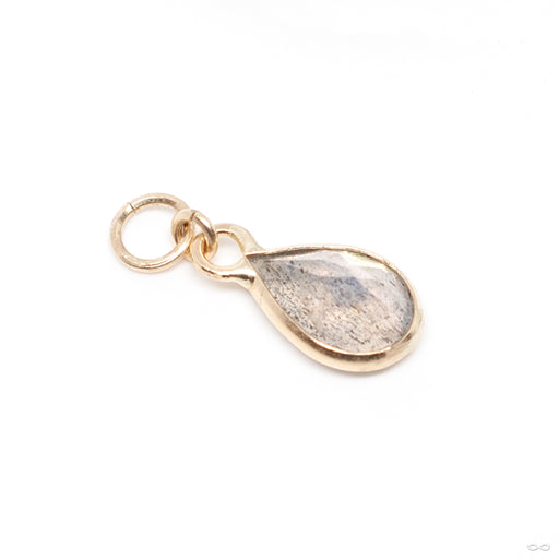 Fresco Charm in Gold from Hialeah in 14k Yellow Gold with Labradorite