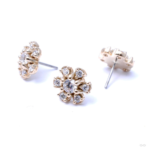 7 Stone Daisy Press-fit End in Gold from LeRoi in Clear CZ