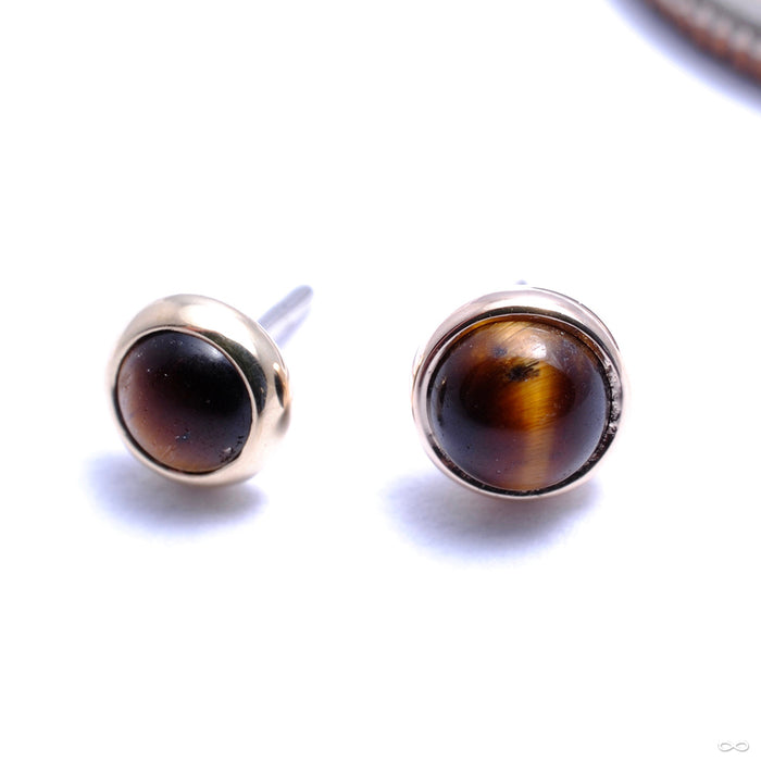 Bezel-set Cabochon Press-fit End in Gold from BVLA with tiger eye