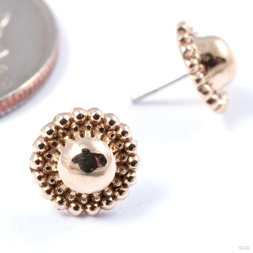 Domed Halo Press-fit End in Gold from Sacred Symbols in yellow gold