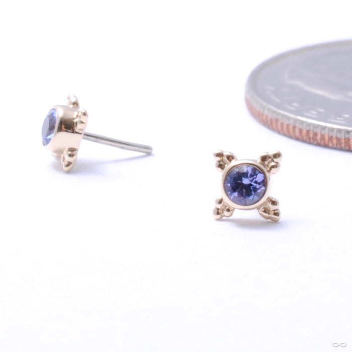 Mini Kandy Press-fit End in Gold from BVLA with tanzanite