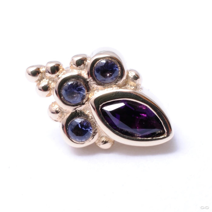 Mini Marquise Sarai Press-fit End in Gold from BVLA with Amethyst & Iolite
