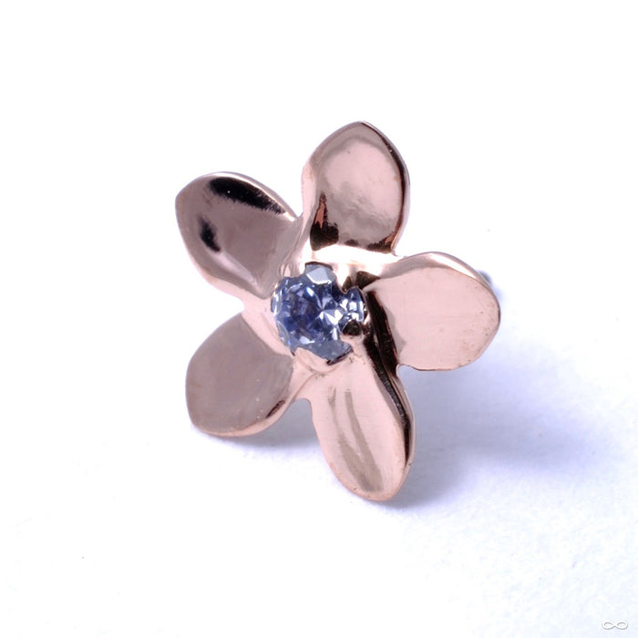 Plumeria Press-fit End in Gold from Anatometal with Tanzanite