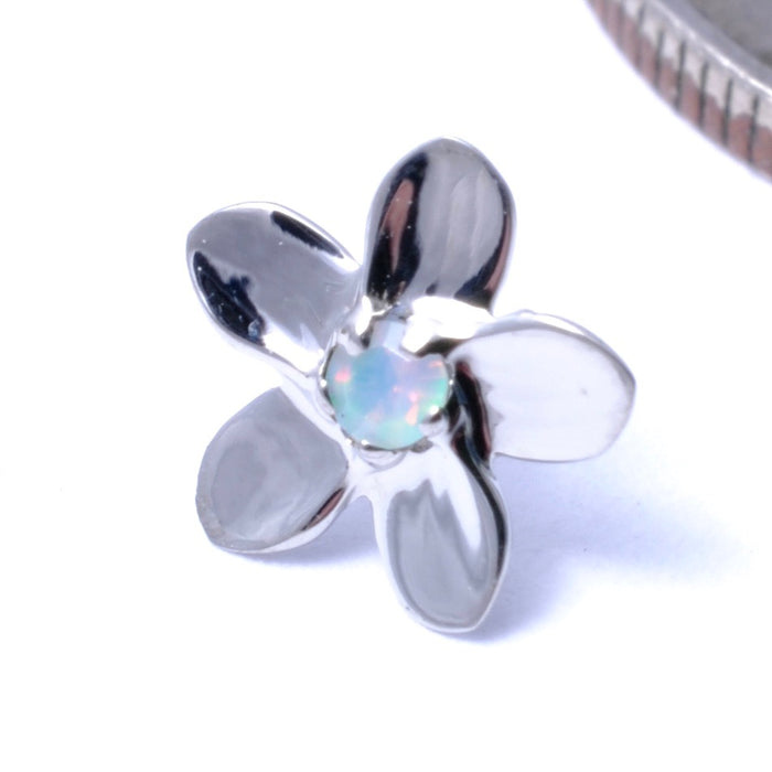 Plumeria Press-fit End in Gold from Anatometal with White Opal