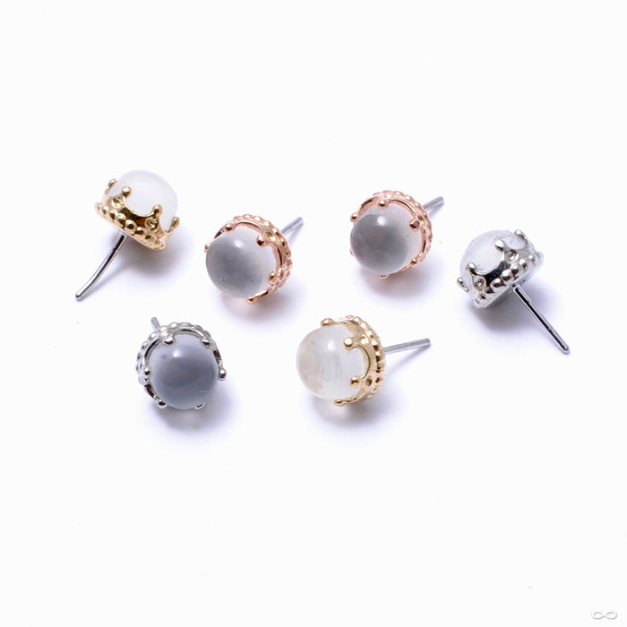 Queen Press-fit End in Gold from Anatometal with moonstone
