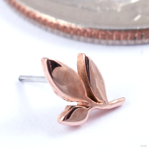 Rise Press-fit End in Gold from Maya Jewelry in rose gold