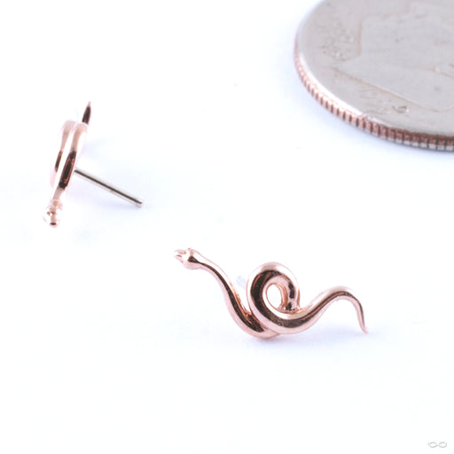 Snake Press-fit End in Gold from Junipurr Jewelry in rose gold