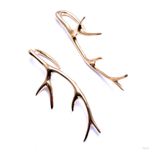 Antlers from Tawapa in Yellow-gold-plated Brass