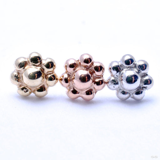 Bead Flower Cluster Press-fit End in Gold from BVLA in Assorted Golds