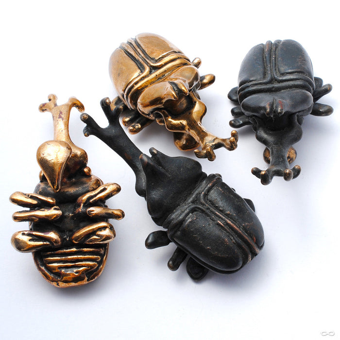 Beetle Ear Weights in Bronze from Blessings to You