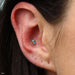 Conch Piercing with 2 Stone Marquise Press-fit End in Gold from LeRoi with Turquoise
