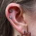 Outer helix piercing with 2 Stone Marquise Press-fit End in Gold from LeRoi with Turquoise