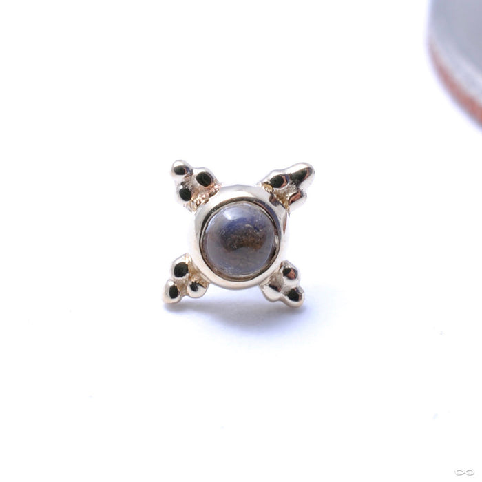 Mini Kandy Press-fit End in Gold from BVLA with Rainbow Moonstone