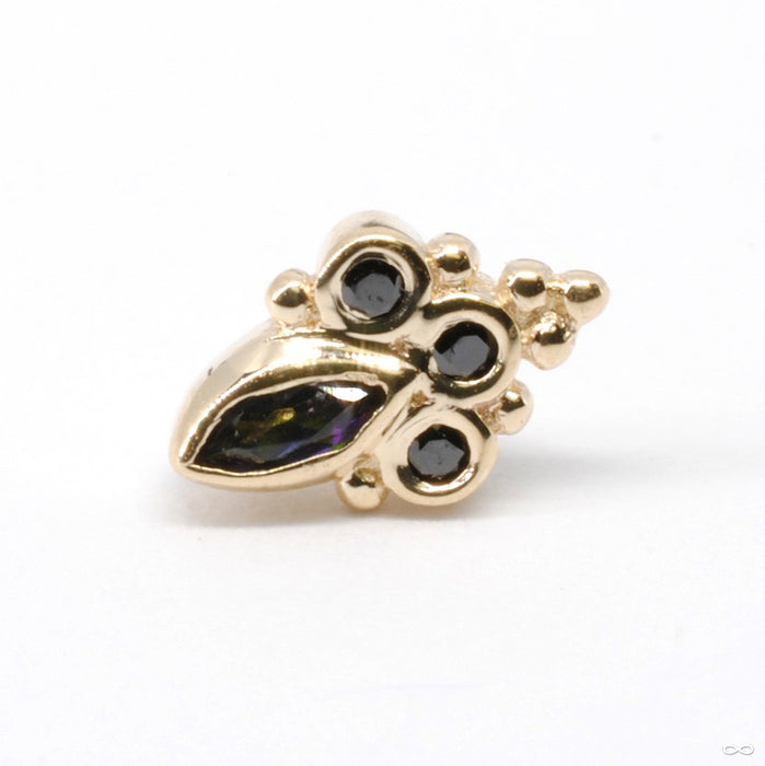 Mini Marquise Sarai Press-fit End in Gold from BVLA with Mystic Topaz & Black CZ