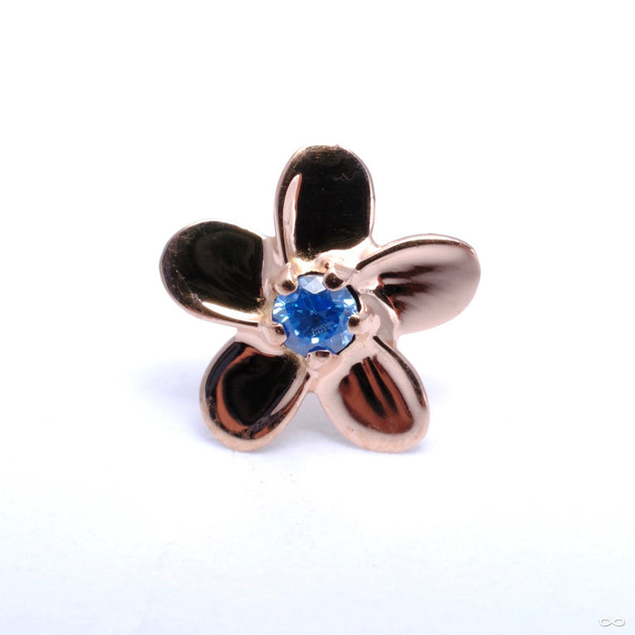 Plumeria Press-fit End in Gold from Anatometal with Arctic Blue CZ