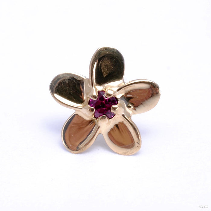 Plumeria Press-fit End in Gold from Anatometal with Garnet