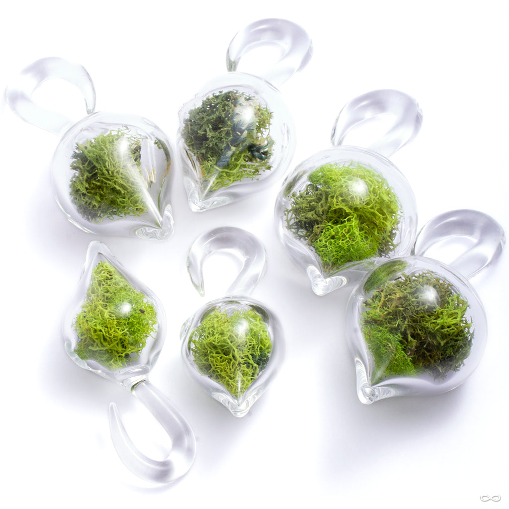 Collection of terrarium weights from Uzu Organics at Infinite Body Piercing