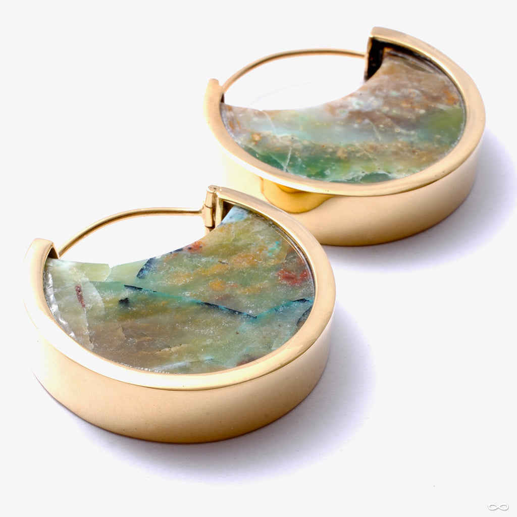 Set of petrified wood earrings set in gold hoops