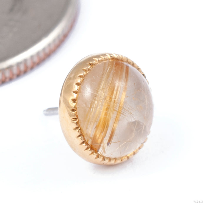Grizant Cabochon Press-fit End in Gold from Auris Jewellery