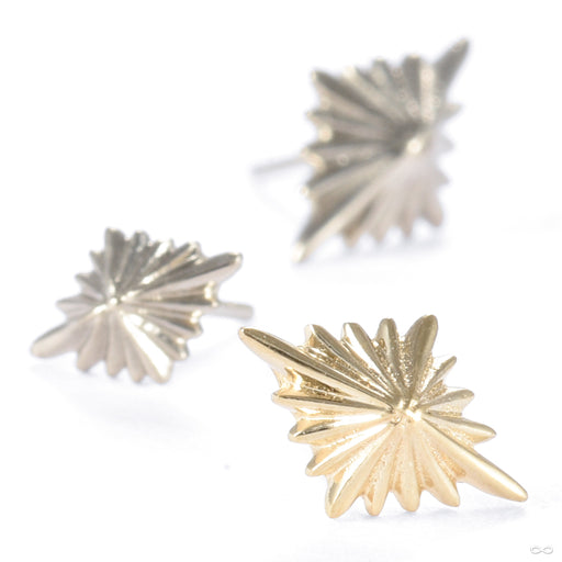 3am to 4am Press-fit End in Gold from Regalia in various materials