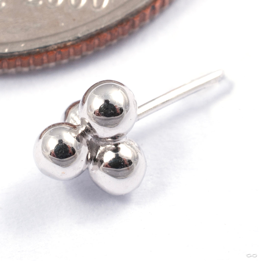 Shop for Body Jewelry Infinite Body Piercing — Page 7 — Infinite Body