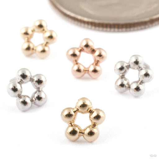 5 Bead Circle Press-fit End in Gold from BVLA in assorted materials