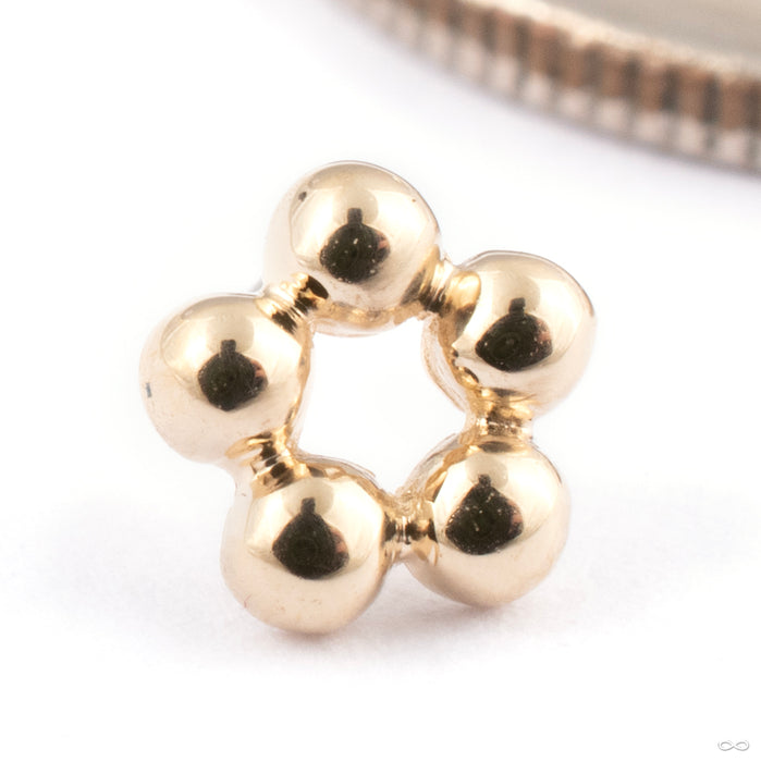 5 Bead Circle Press-fit End in Gold from BVLA in 14k Yellow Gold