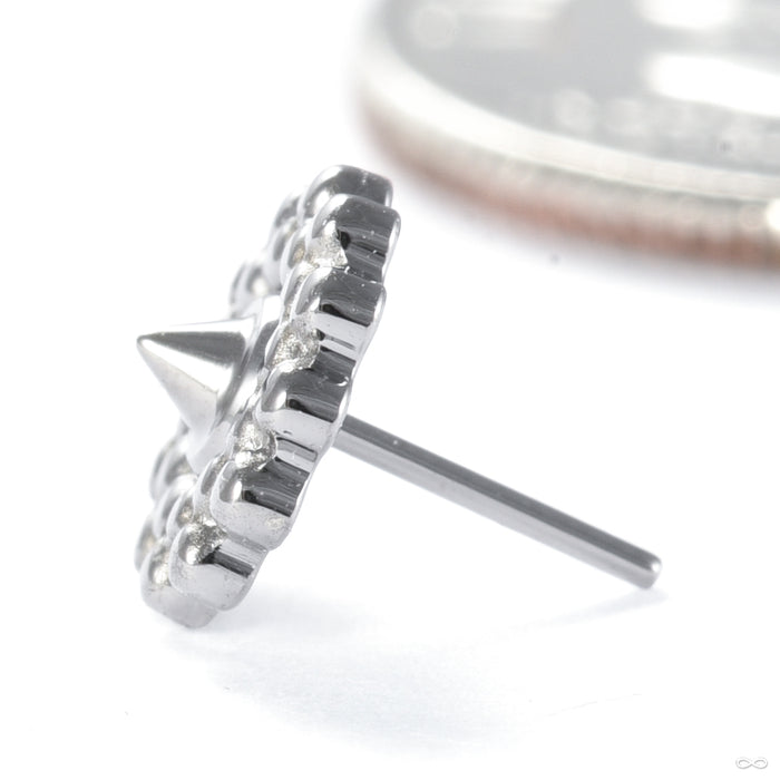 Afghan Press-fit End in Titanium from Tawapa in high polish detail