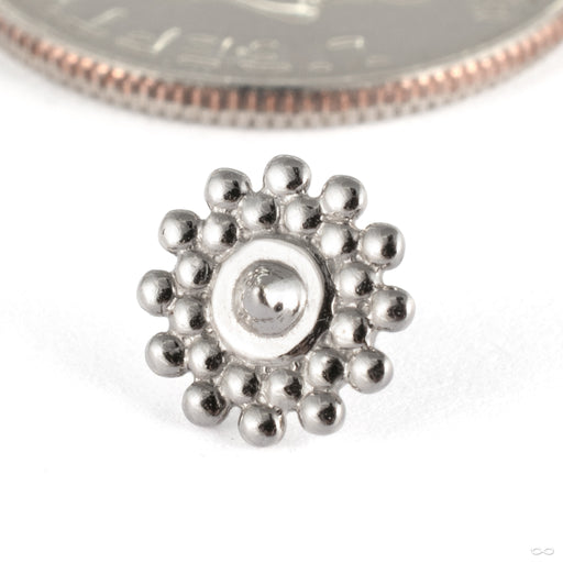 Afghan Press-fit End in 14k White Gold from Tawapa