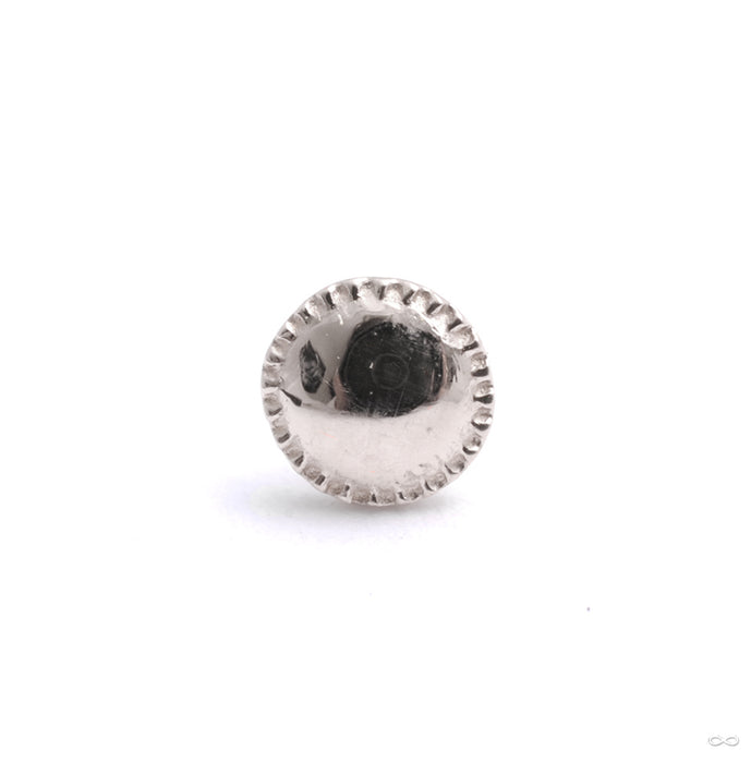 Alpha 01 Press-fit End in Gold from Tether Jewelry in white gold 3.5mm