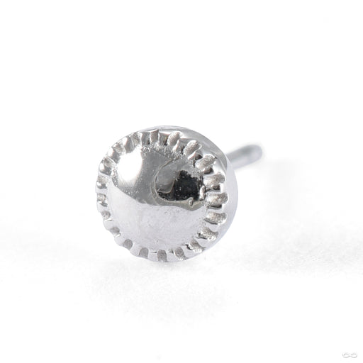 Alpha 01 Press-fit End in Gold from Tether Jewelry in white gold 2.5mm