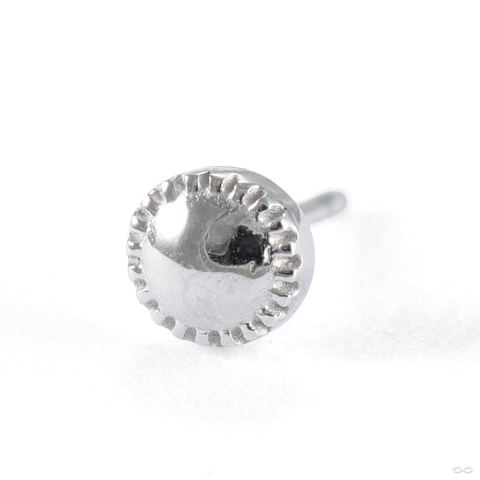 Alpha 01 Press-fit End in Gold from Tether Jewelry in white gold 2.5mm