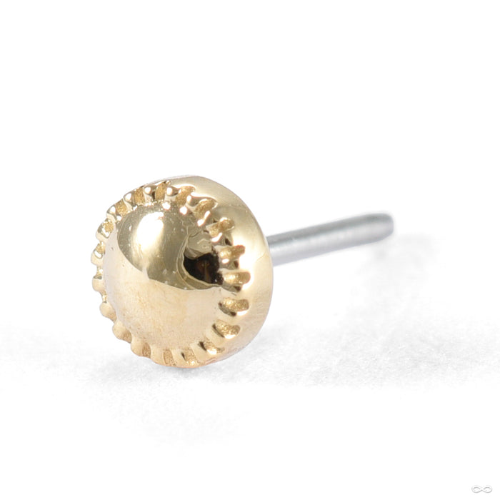 Alpha 01 Press-fit End in Gold from Tether Jewelry in yellow gold 2.5mm
