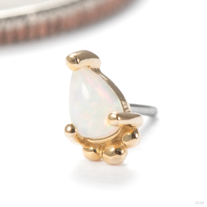 Amani Press-fit End in 14k Yellow Gold with White Opal from Junipurr Jewelry
